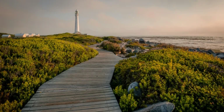 beach-bag-essentials